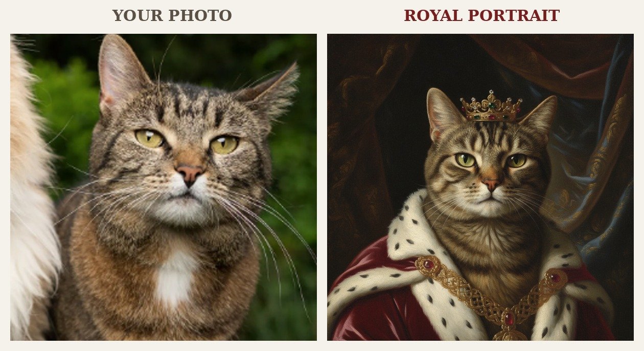 Cat before and after